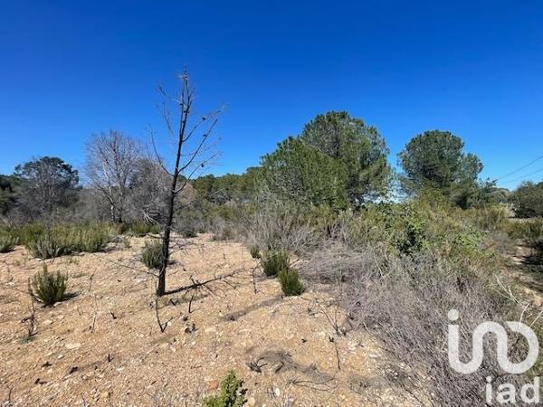 Terrain à vendre 13 930 m² Elne