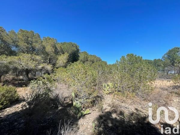 Terrain à vendre 13 930 m² Elne