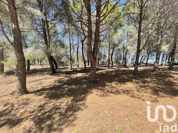 Terrain à vendre 13 930 m² Elne