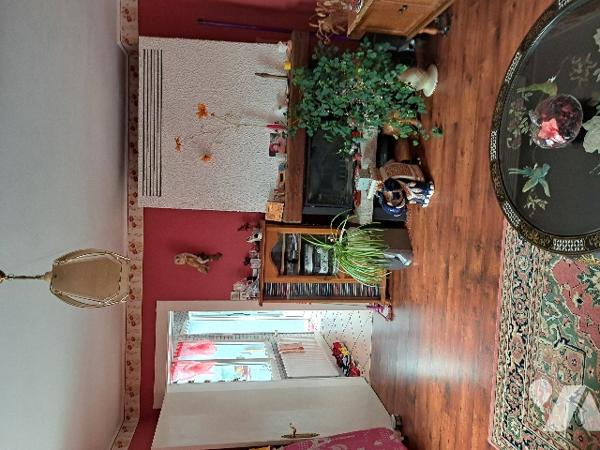 14305
A CHAUMOUSEY (88390) 266 Chemin des Plages