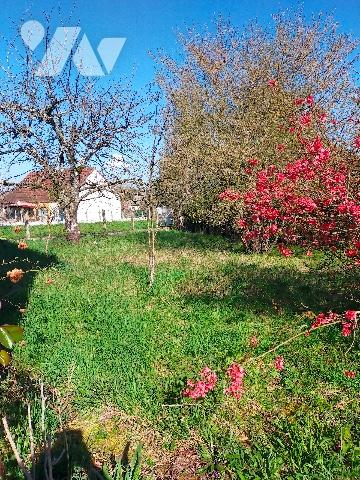 A COSNE COURS SUR LOIRE,