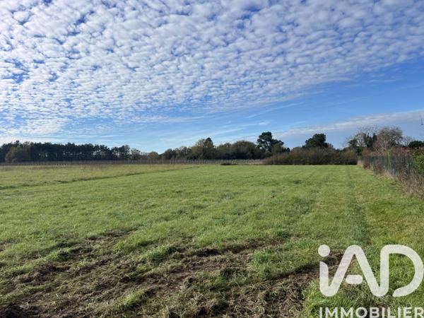 Terrain à vendre 1 500 m² Fronton