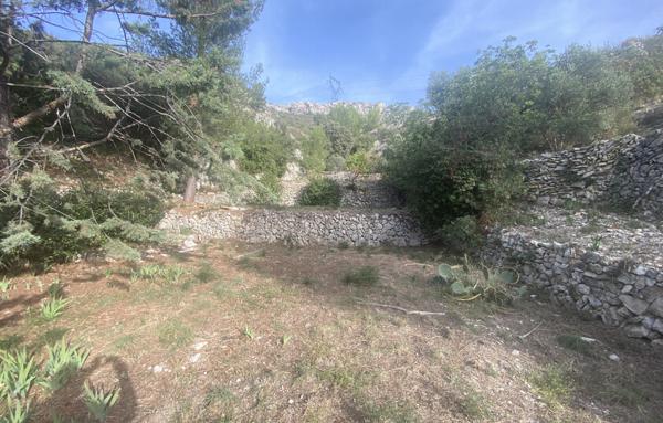 Maison - Magnifique demeure atypique dans grande propriété