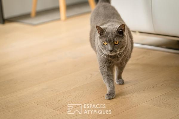 Contemporaine, lumineuse et économe : le tout à pied à Pessac Centre