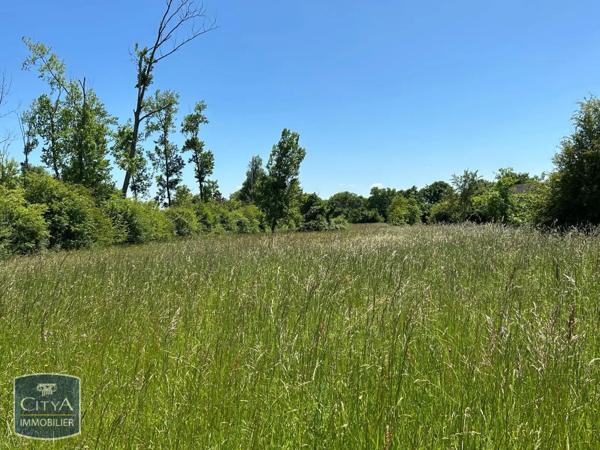 Terrain à vendre 4696m²