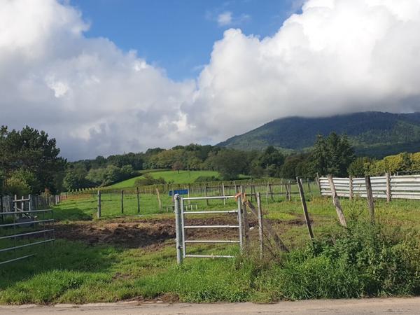 Terrain constructible