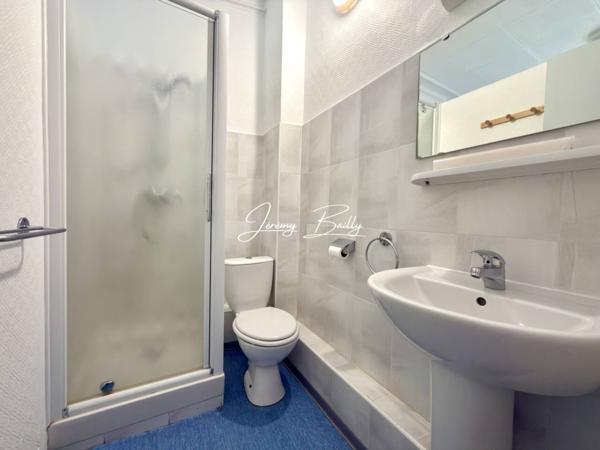 Commerce à vendre 36 pièces de 350 m²
