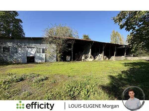 Maison 5 pièces - 146 m² Exclusivité efficity