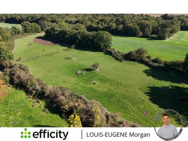 Maison 5 pièces - 146 m² Exclusivité efficity