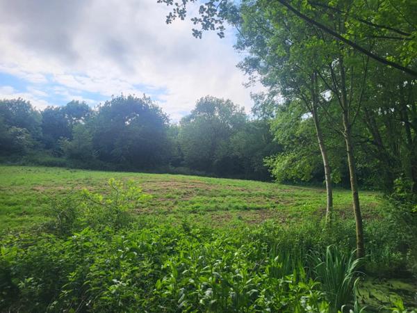 Terrain de Loisirs avec ETANG et bois à vendre GLENAY (79) 4985 m²