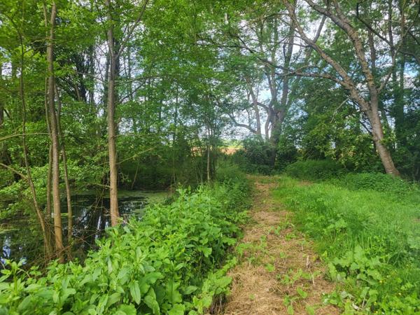 Terrain de Loisirs avec ETANG et bois à vendre GLENAY (79) 4985 m²