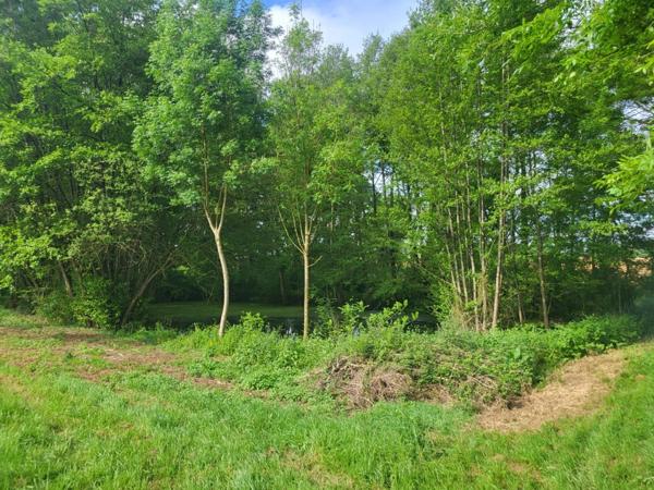 Terrain de Loisirs avec ETANG et bois à vendre GLENAY (79) 4985 m²