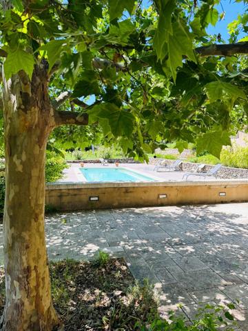 Maison de charme avec piscine à Mane