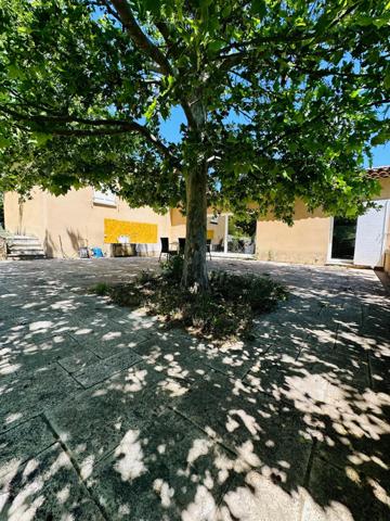 Maison de charme avec piscine à Mane