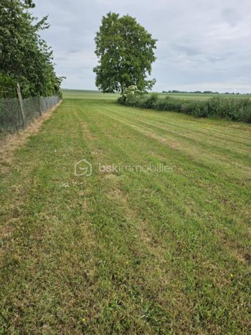 Terrain de 1 035 m²