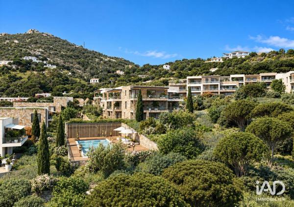 Appartement (neuf) à vendre 3 pièces 62 m² Calvi
