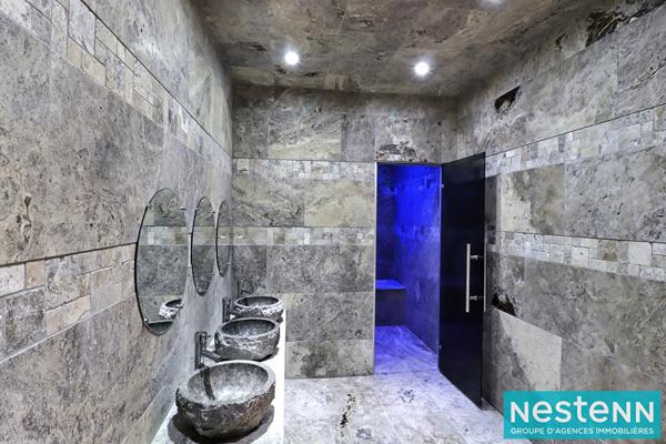 Villa d'exception à Décines-Charpieu 7 pièces 322 m2 - avec prestations haut de gamme - rare sur le secteur