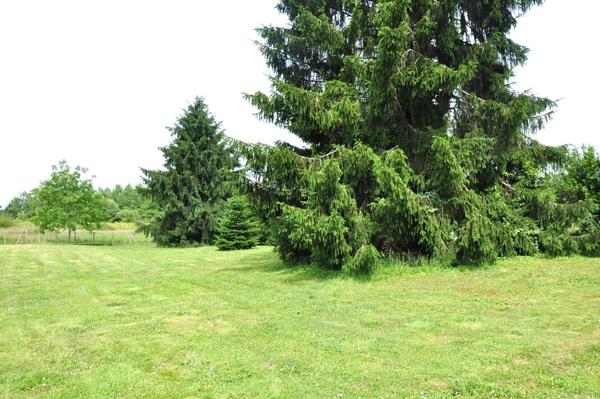 LANDES 40465 PRÉCHACQ LES BAINS, MAISON 209M² ET DÉPENDANCES