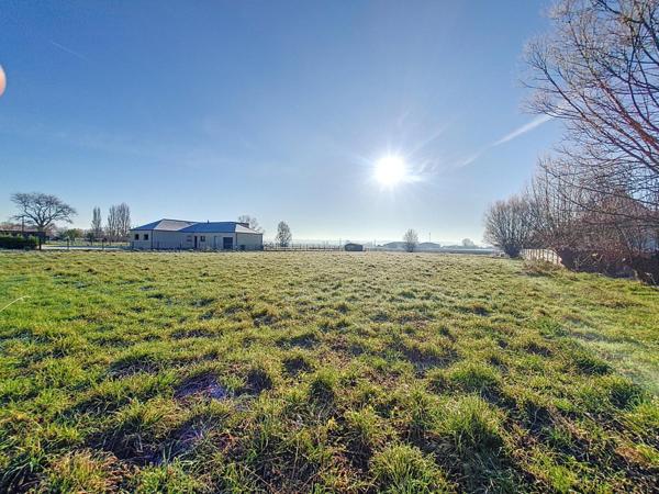 Spécial investisseur