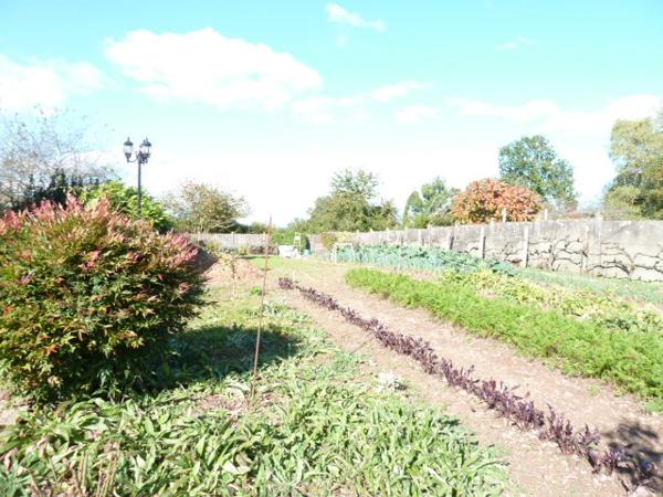 Saint-Saulge (58330) Propriété de caractère