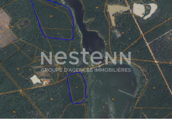 A vendre - 3 parcelles de bois en Sologne - Fontaine en Sologne - 11 978 m²