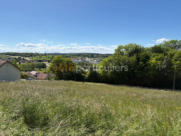 Vente
                Terrain1244 m² - ROCHEFORT SUR NENON (39700)