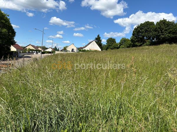 Vente
                Terrain1244 m² - ROCHEFORT SUR NENON (39700)