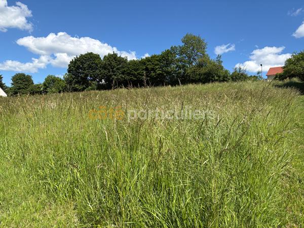 Vente
                Terrain1244 m² - ROCHEFORT SUR NENON (39700)