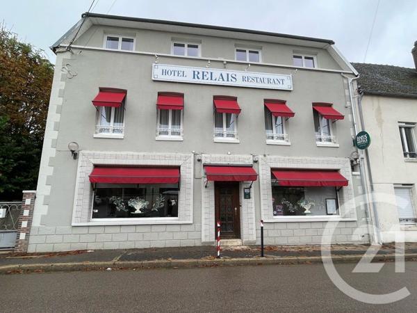 Immeuble à vendre  311 m2 COURTENAY - 45