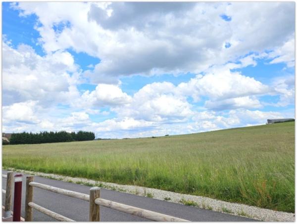 Dpt Vosges (88), à vendre LERRAIN terrain de 1897mé dont 858m² constructible.