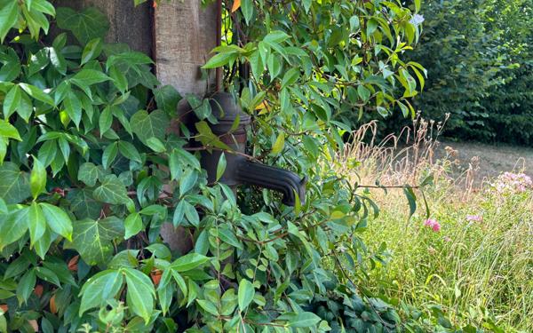 Maison à vendre    6 pièces •  Bizanos