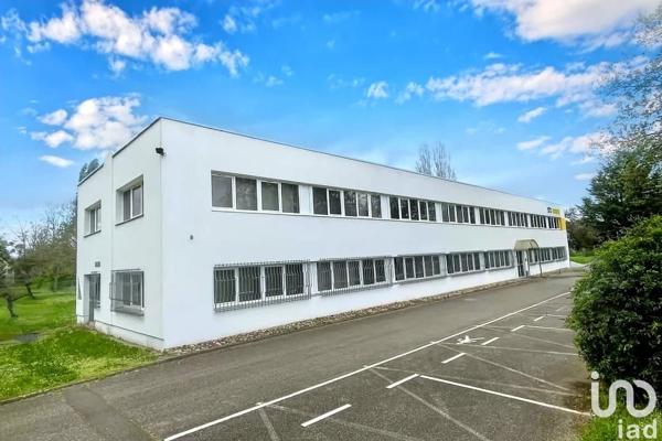 Location bureaux 31 m² Schiltigheim