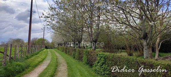 Dpt Orne (61), à vendre maison P6 - Terrain de 100