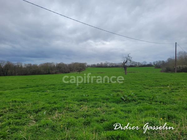 Dpt Orne (61), à vendre maison P6 - Terrain de 100
