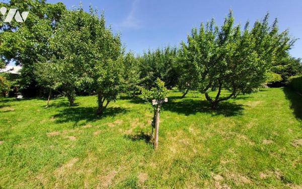 Terrain à bâtir de 698 m²