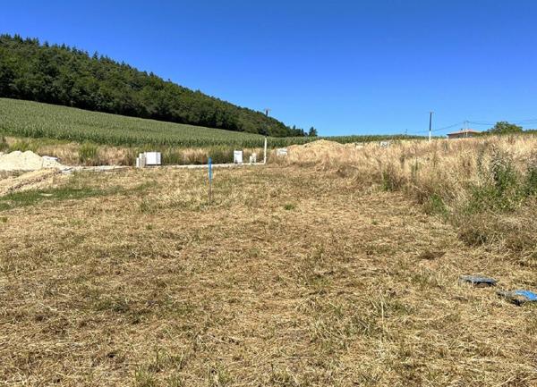 Terrain à vendre    Pomeys