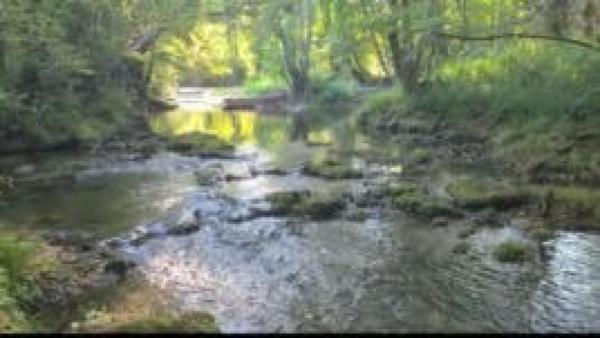 Lot de 7 parcelles naturelles au calme accessibles