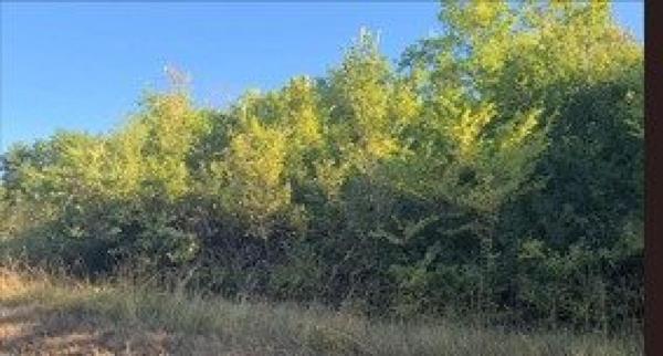 Lot de 7 parcelles naturelles au calme accessibles