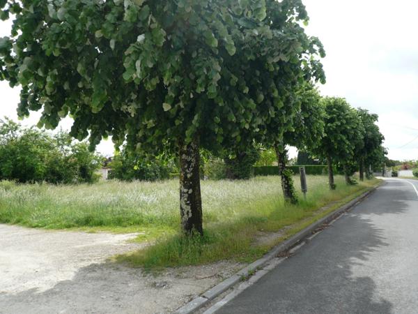 ⚜ MERPINS A Vendre TERRAIN à CONSTRUIRE Proche COGNAC ⚜