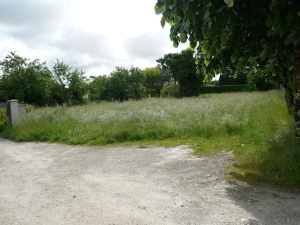⚜ MERPINS A Vendre TERRAIN à CONSTRUIRE Proche COGNAC ⚜