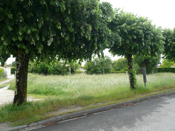 ⚜ MERPINS A Vendre TERRAIN à CONSTRUIRE Proche COGNAC ⚜