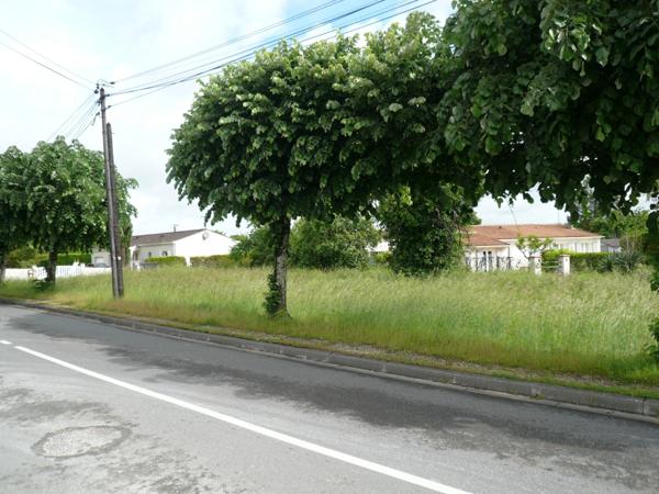 ⚜ MERPINS A Vendre TERRAIN à CONSTRUIRE Proche COGNAC ⚜