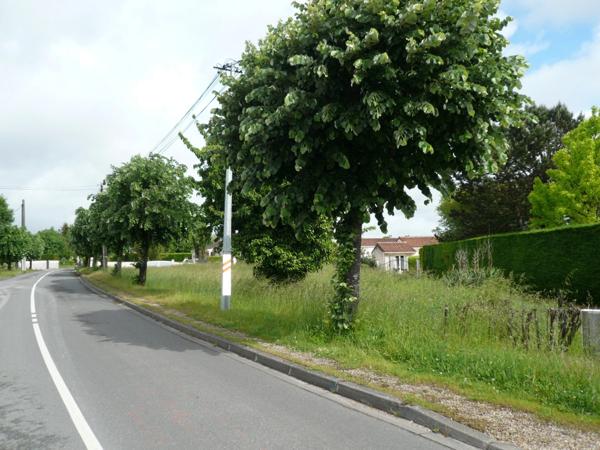 ⚜ MERPINS A Vendre TERRAIN à CONSTRUIRE Proche COGNAC ⚜