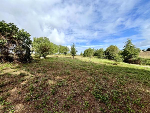 Maison T4 de 90m² sur terrain de 5000m² à rénover