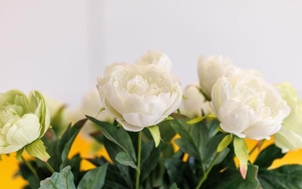 Appartement à vendre    3 pièces • 63,04 m2 Cannes