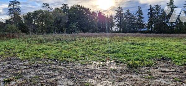A proximité du centre bourg, les superficies des terrains ont été soigneusement étudiées pour v...