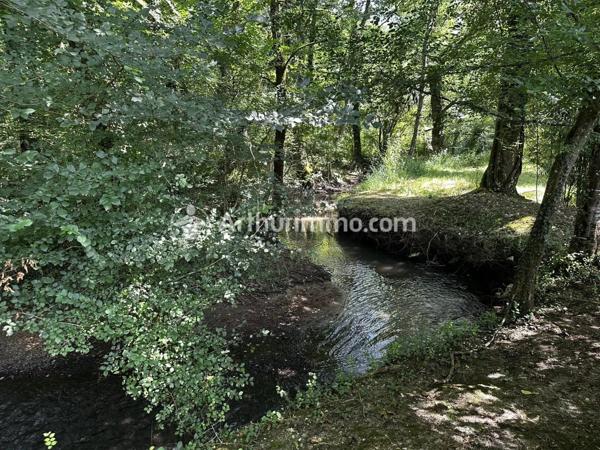 Vente Maison 6 pièces 210 m2 à Neuvic