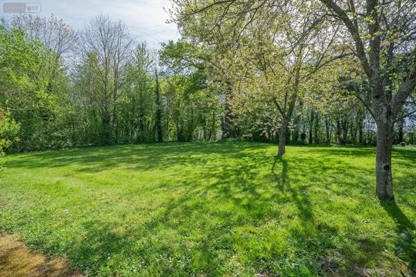 Achat - Maison Piré-Chancé 35150 10 pièces 250 m 2 20684 m 2