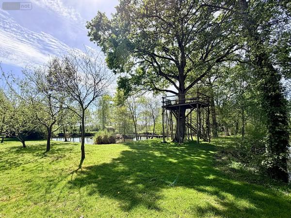 Achat - Maison Piré-Chancé 35150 10 pièces 250 m 2 20684 m 2