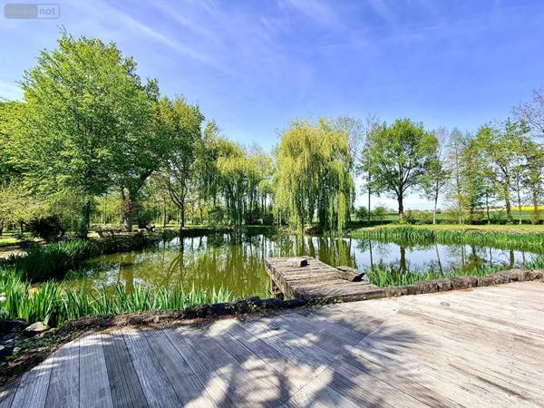 Achat - Maison Piré-Chancé 35150 10 pièces 250 m 2 20684 m 2